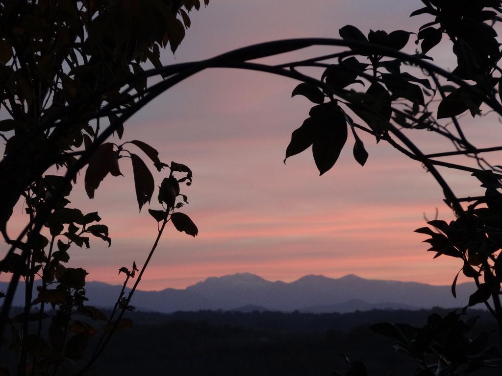 Maison Artigouha Bed and Breakfast Loubieng Esterno foto