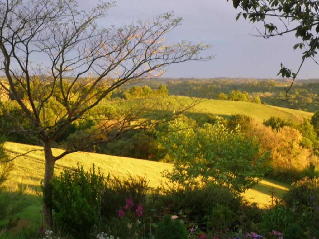 Maison Artigouha Bed and Breakfast Loubieng Esterno foto